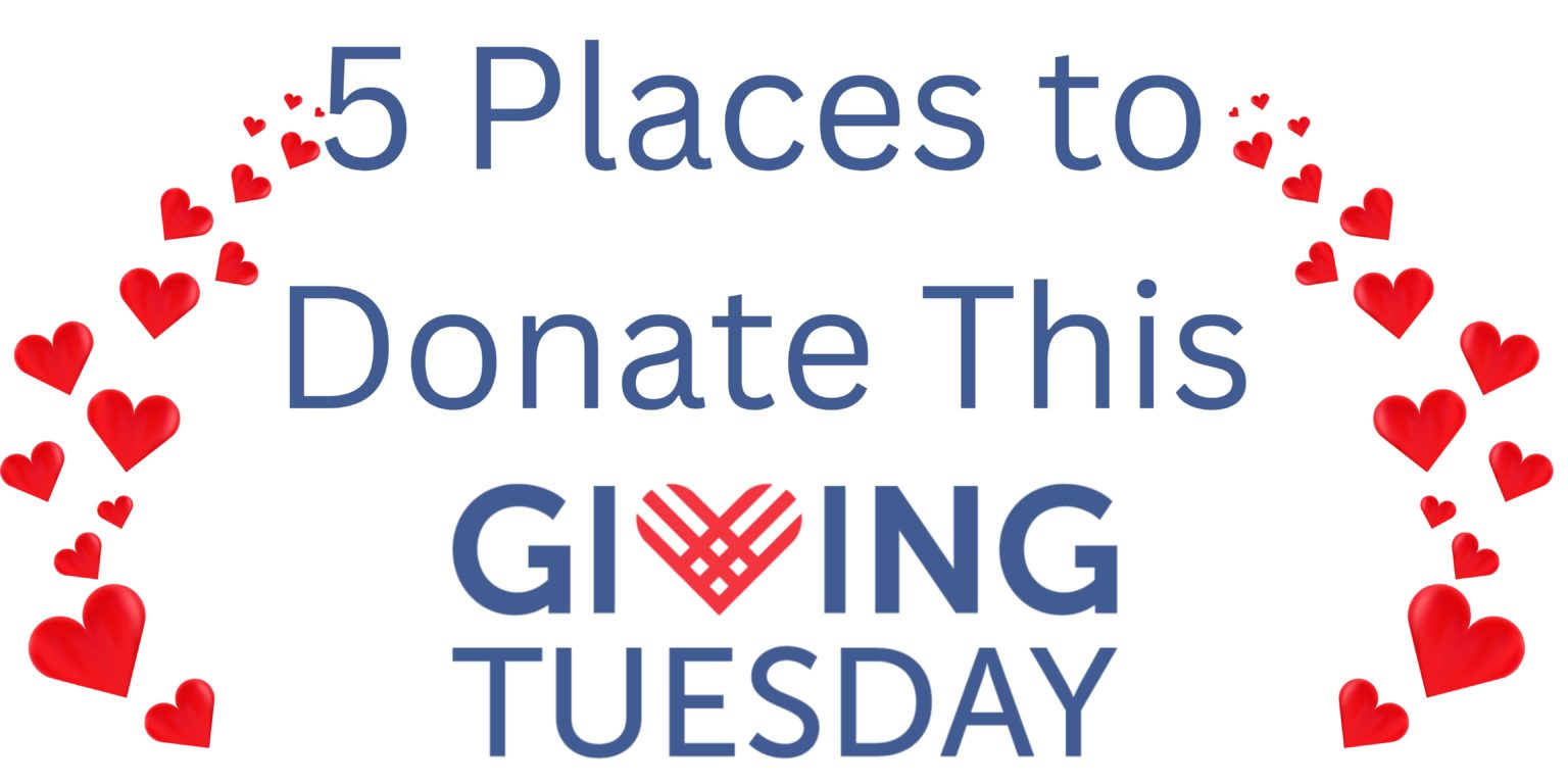 Five Places to Donate On Giving Tuesday