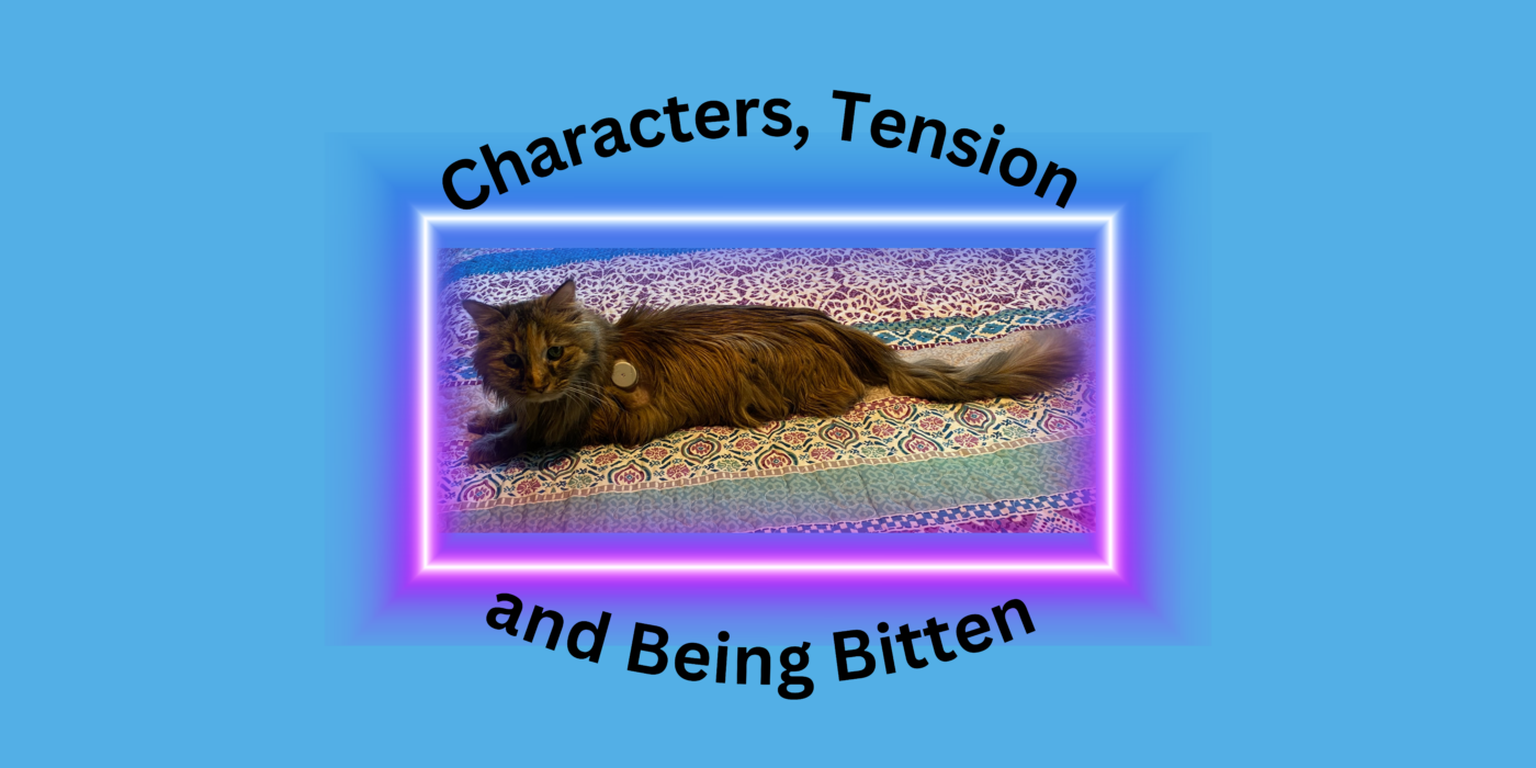 Image of my tortoise shell, long-haired cat, Gidget with text that reads Characters, "Tension, and Being Bitten."